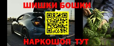 шишки Будённовск