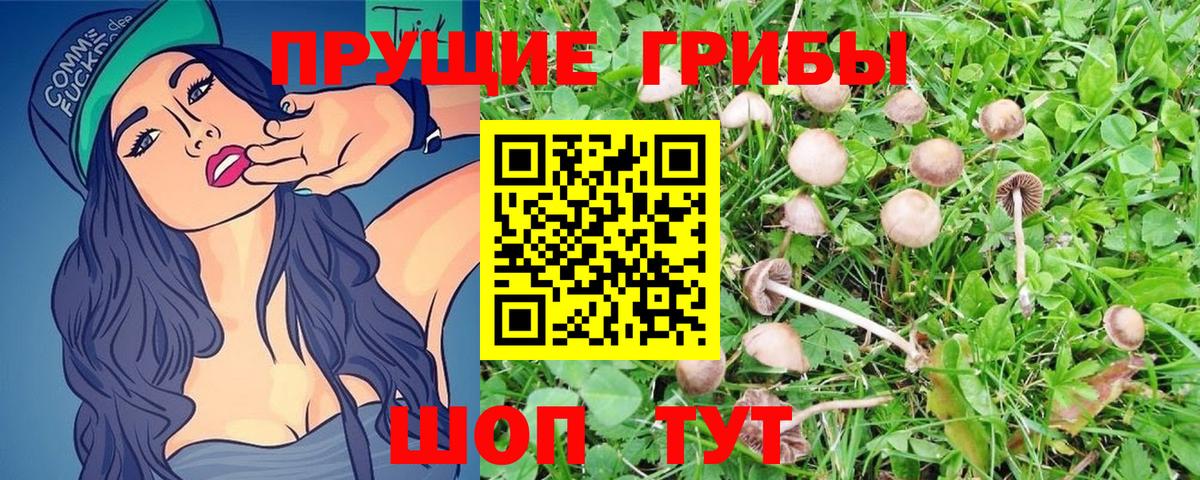 Краснокамск  Псилоцибиновые грибы MAGIC MUSHROOMS  Вход с VPN 